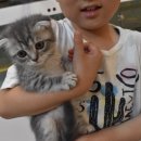 형아네집 이미지