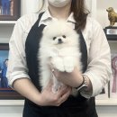 골든캐슬 쇼룸 이미지