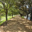 금호강10 이미지