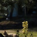 김종선농장 이미지