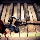 칸토피아노학원 이미지