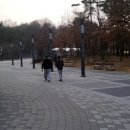 동탄센트럴파크 인라인스케이트장 이미지