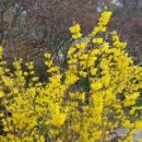 성산마을회관 이미지