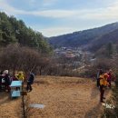 용문산 은행나무길(물소리길 6코스) 이미지