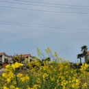 아르케하우스 민박 이미지