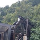 대청밧데리 이미지