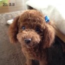동네누나