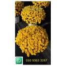 치우농장 이미지