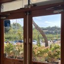 국민건강보험공단 파주지사 | [파주/고양] 공릉천에 유명한 코스모스 보러 갔다가 들른 분좋카!