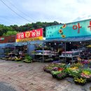 백현고가교 이미지