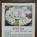 갯벌낙지 이미지