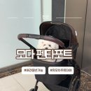 제이디엑스천안 | 천안 모다아울렛 애견동반 완전정복｜입구·유모차·엘리베이터 위치