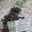 적중농장 이미지