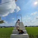 고창군고창읍덕정보건진료소 | 고창 대형카페 고창 선운사카페 아이랑 가족이랑 나들이 인생샷 건져보자