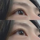 디오르뷰티 | 부산 장전동 디오르뷰티 속눈썹펌, 봄 데이트 준비 내돈내산 후기