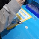 용산-현장-1702 | 오모오모 하우스 삼성화재 펫 팝업스토어 후기★주차 강력주의★펫스널컬러,슬개골클래스,포토 스튜디오