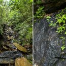 안개4길 이미지