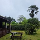 표선생활체육관 | 표선 독채 펜션 애견동반 가능한 크라운캐슬펜션