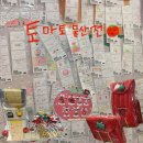 토마토프라자 | 홍대 팝업 토마토 물산전 홍대 AK 플라자 방문 후기