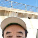 바다고기 이미지