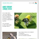 개님살롱레이크사이드 이미지