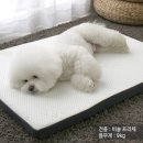 스테퍼하우스 이미지