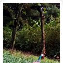 88컨트리클럽연습장 이미지