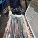 제주8월14일 이미지