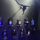 아지트퓨전 이미지