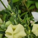 유한행정사사무소 이미지