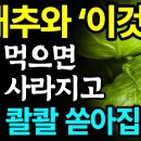 양배추와 함께 먹으면 보약되는 음식 3가지와 레시피 총정리! 값비싼 영양제 대신 &#39;이것&#39; 드세요 I 변비에 좋은 음식, 위염에 좋은.. 이미지