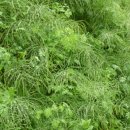 전원미술관 이미지