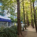 대구호산초등학교 이미지