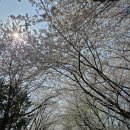 (주)선두 이미지