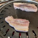 [성남시 정자동 고깃집] 복돼지 후기 | 삼겹살, 갈매기살, 갈비살 먹고온 후기🐷🐮