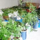 성실농장 이미지