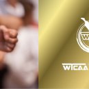 문화체육관(태권도) 이미지