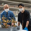 벽봉한국장신구박물관 이미지