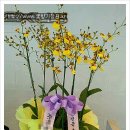 승진모터스 이미지