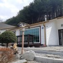 잣나무집정원 이미지