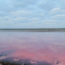 레이크주유소 이미지