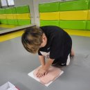 위너태권도 이미지