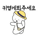 냥치케 여수 이미지