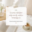 굳드림 국내산 제주 메리골드 꽃차, 향과 힐링을 함께 즐긴 후기