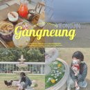 라보떼펜션&송정핫도그 | 강릉 1박2일 여행 코스 총정리｜ 바다·카페·레일바이크·중앙시장