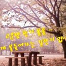 향기로운 감정코칭 이미지