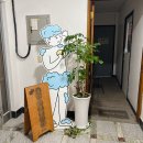 나른한 오후의 목욕 | 부산 목욕카페 분위기좋은 영도 라운지일렁