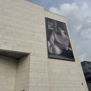 스와니패브릭 | 3인, 4인 패브릭쇼파 매장 프리미엄 소파 브랜드
