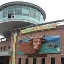 단풍미인한우관 이미지