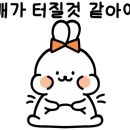 금수저감자탕